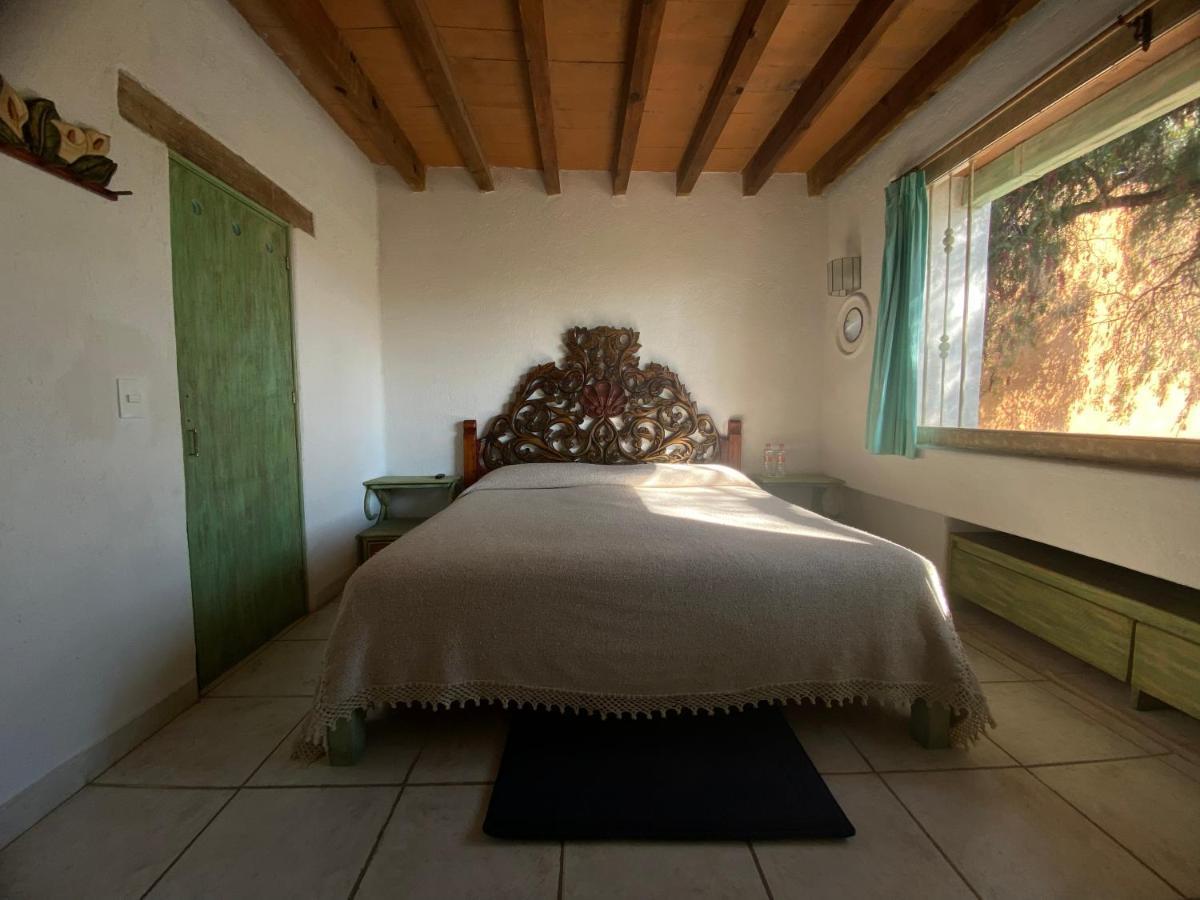 Casa Arbol Hotel San Miguel de Allende Ngoại thất bức ảnh